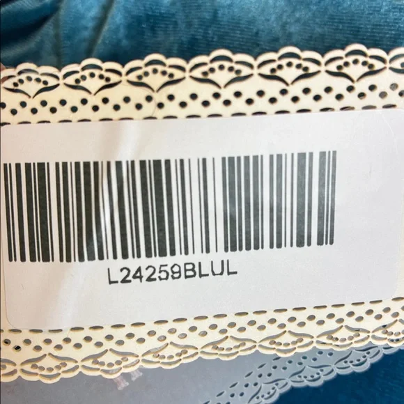 Lait Collection NWT Gwyneth Lace Velvet Maxi Dress in Lake Blue Large Coquette - Picture 13 of 15